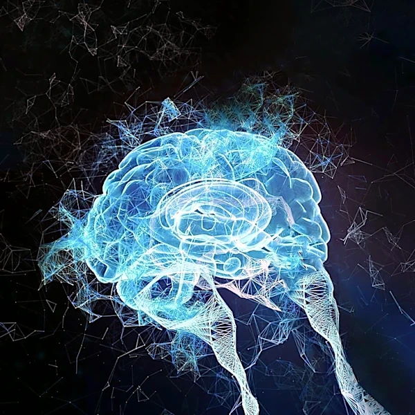 Glymphatic System's Role in Alzheimer's Disease Progression Explored