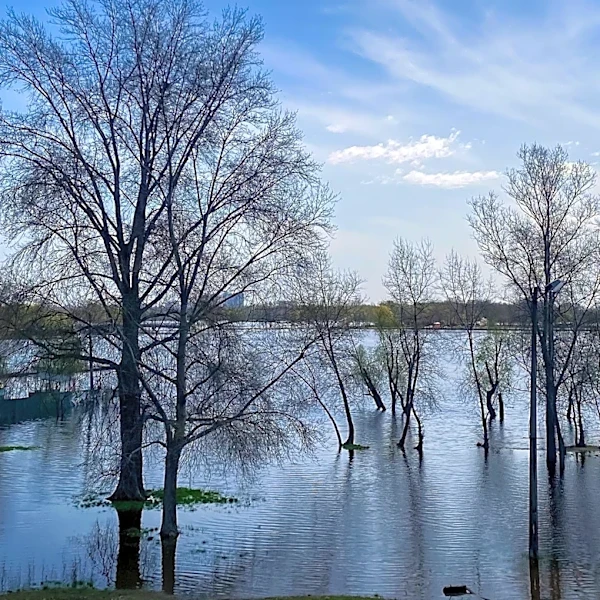 Mount Airy Declares State of Emergency Due to Severe Flooding in Piedmont Area