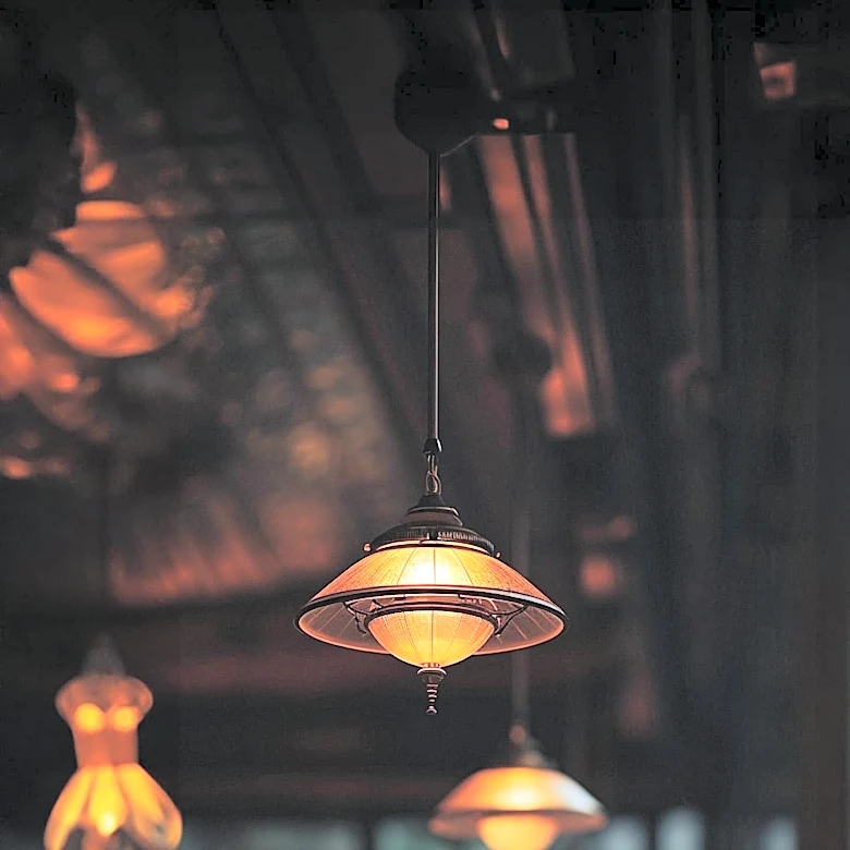 Study Finds Amber LED Lights Reduce Insect Attraction at Night