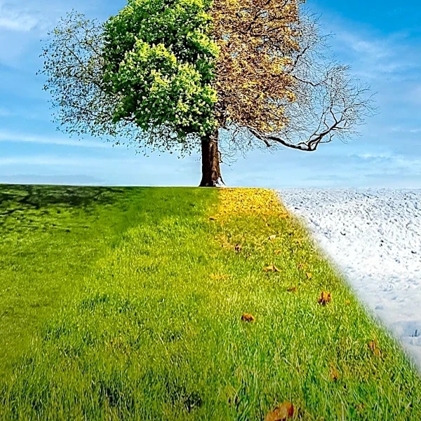 Judicial Reference Manual Sparks Climate Change Debate Amid Calls for Investigation
