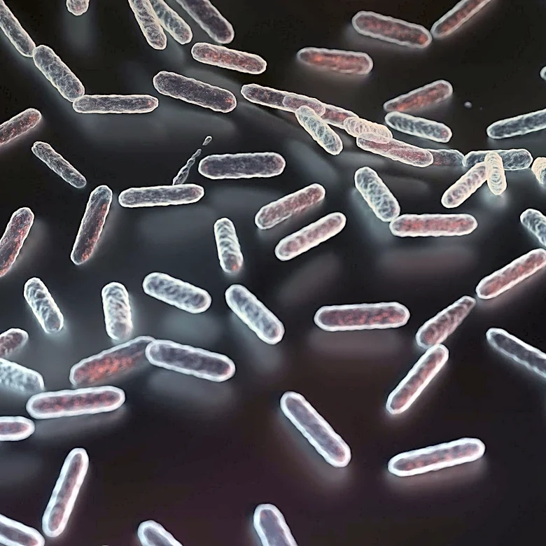 Postbiotics as Emerging Modulators of Gut Microbiota: Health Implications