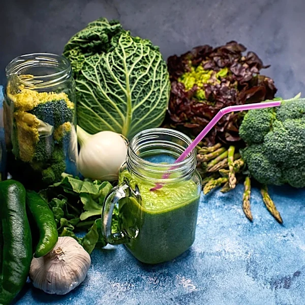 Prebiotics Enhance Gut Health and Neurological Recovery in Stroke Models