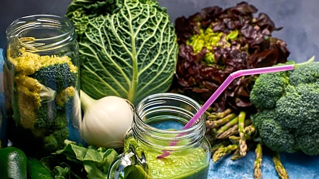 Prebiotics Enhance Gut Health and Neurological Recovery in Stroke Models