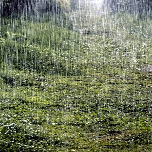 Flood Watches Issued in Washington, D.C. Area Amid Heavy Rain