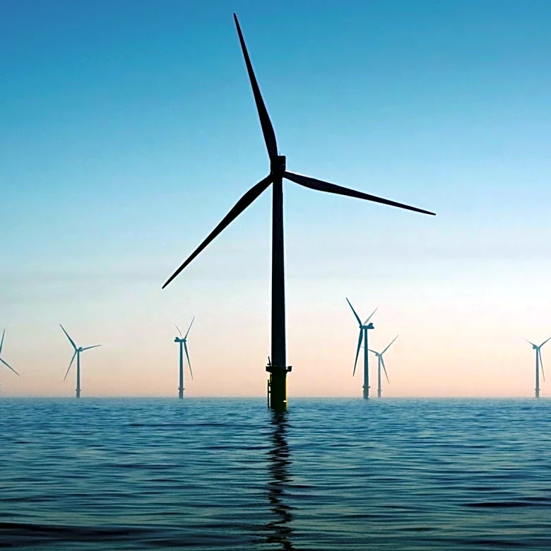 Offshore Wind Farms Provide New Habitats for Marine Life