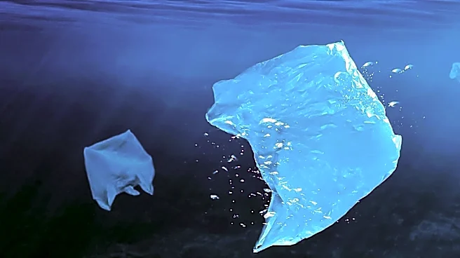 Oman's Phased Plastic Bag Ban Expands to New Sectors, Aiming for Full Phase-Out by 2027