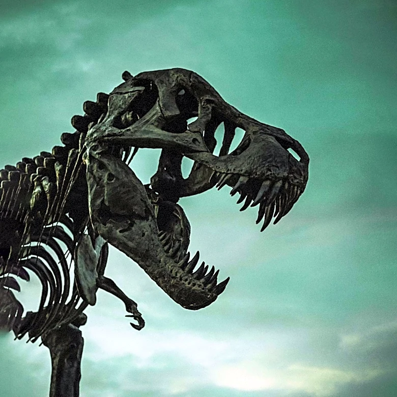 Paleontologists Uncover T. rex's Scavenging Habits Through Fossil Analysis