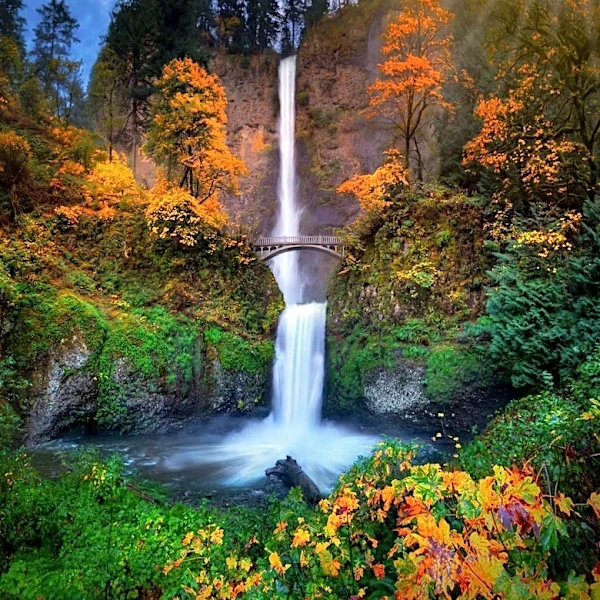Oregon's Unique Policies and Cultural Landscape Highlighted in 250th Anniversary Celebration
