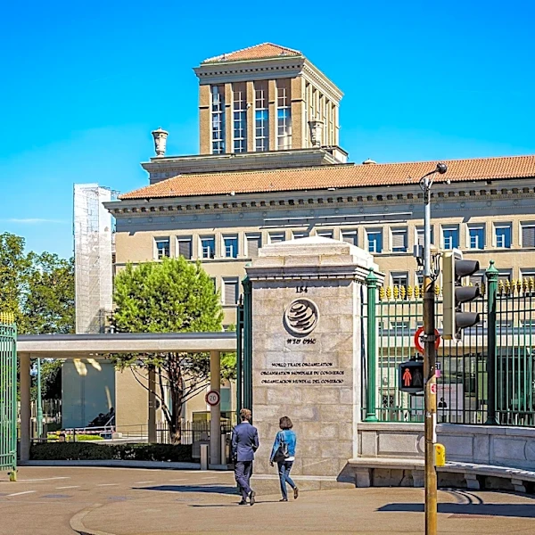WTO Reports Resilient Global Trade Growth Amid Iran Conflict and AI Boom