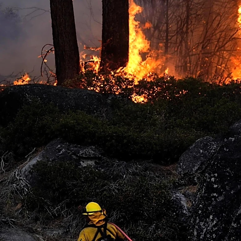 Washington State Declares Emergency Amidst Devastating Wildfires