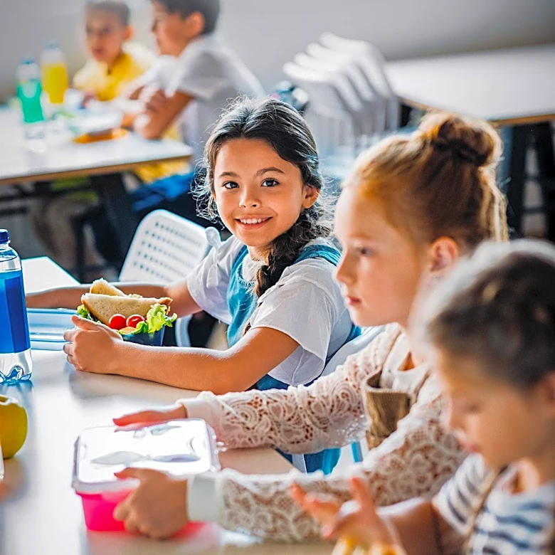 Karnataka Bans Junk Food Near Schools to Combat Childhood Obesity