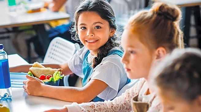 Karnataka Bans Junk Food Near Schools to Combat Childhood Obesity