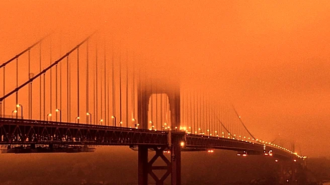 Portland Faces Heat Wave and Air Quality Concerns Amid Wildfire Smoke