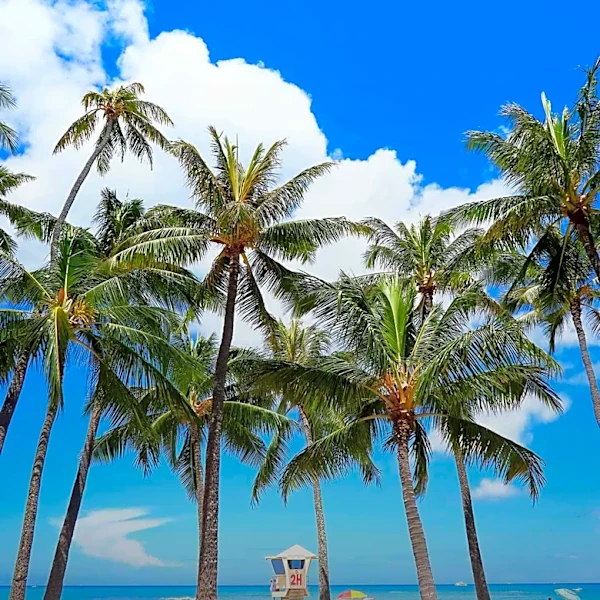 St. Pete Beach Sign Ordinance Sparks Federal Lawsuit Over Property Rights