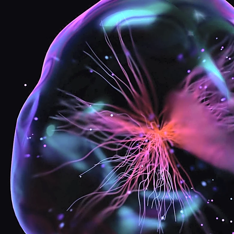 Innovations in Allergen Immunotherapy Drive Shift Towards Personalized Medicine