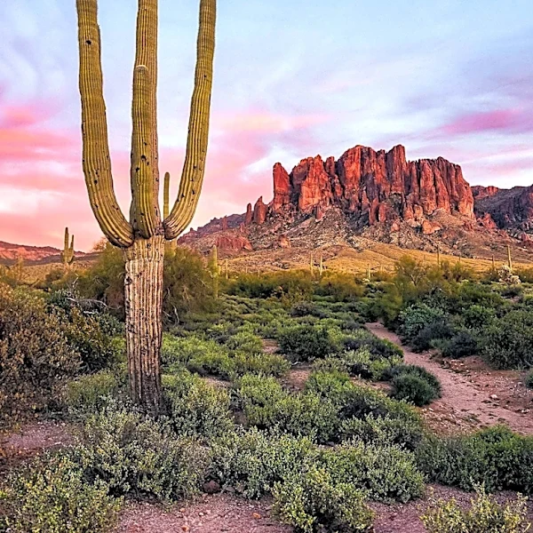 Arizona Tourism Faces Decline Due to Reduced Canadian Travel