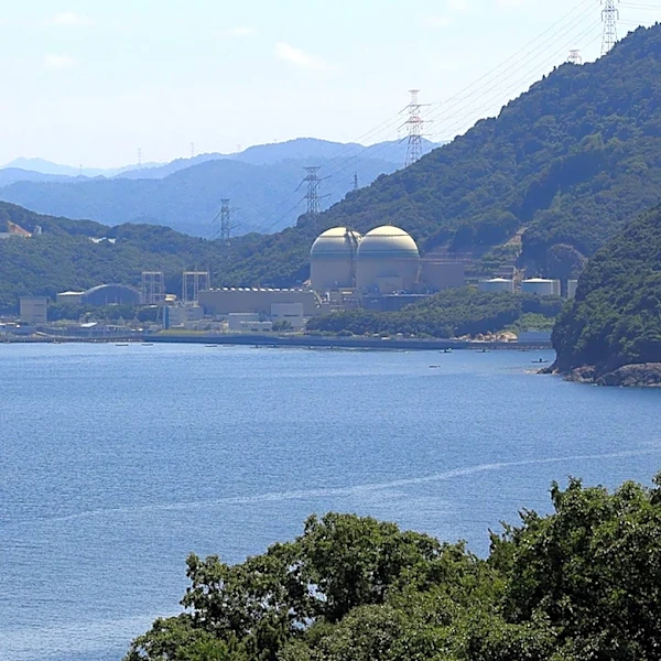 Uzbekistan Advances Nuclear Power Plant Project with Russian Collaboration
