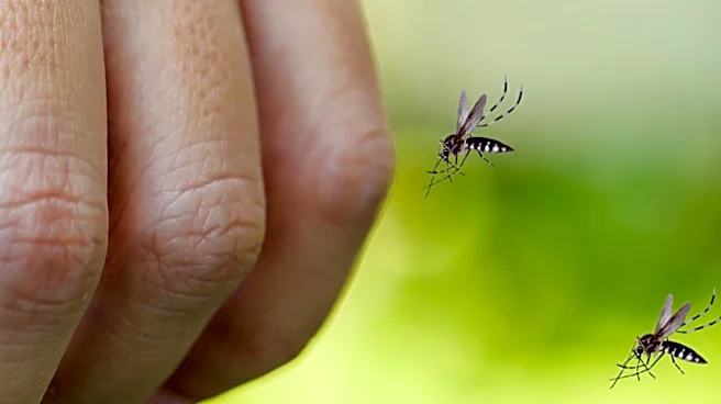 Rhode Island Increases West Nile Virus Risk Level Amid Mosquito Detections