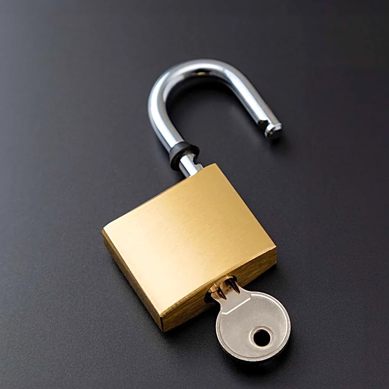 Critical Vulnerability in N-able N-central Exploited by Attackers