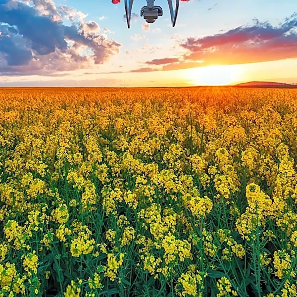 CAPSHA Innovation Challenge Offers Grants for Agricultural Partnerships