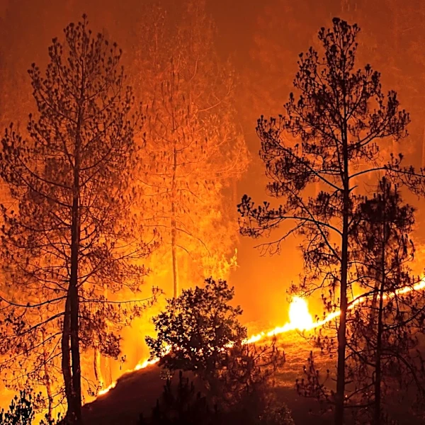 Washington Wildfires Force Evacuations and Destroy Homes
