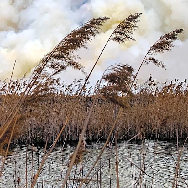 Washington State Wildfires Force Mass Evacuations and Destroy Hundreds of Structures