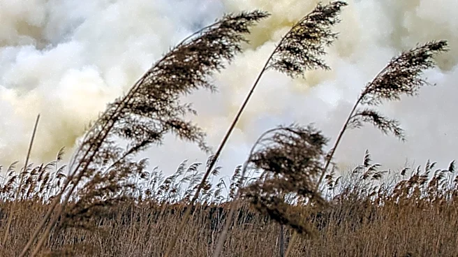 Washington State Wildfires Force Mass Evacuations and Destroy Hundreds of Structures
