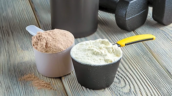 Study Suggests Sedentary Individuals May Benefit from Reduced Protein Intake