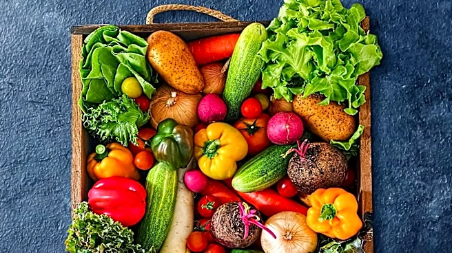 House Bill Proposes Monthly Produce Payments to Combat Food Insecurity
