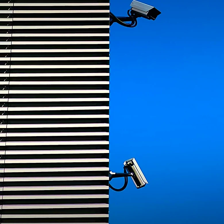 Flock License Plate Cameras in Texas Face Growing Anti-Surveillance Backlash