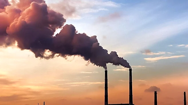Cinde Warmington Opposes Expansion of Fossil Fuel Energy in New Hampshire
