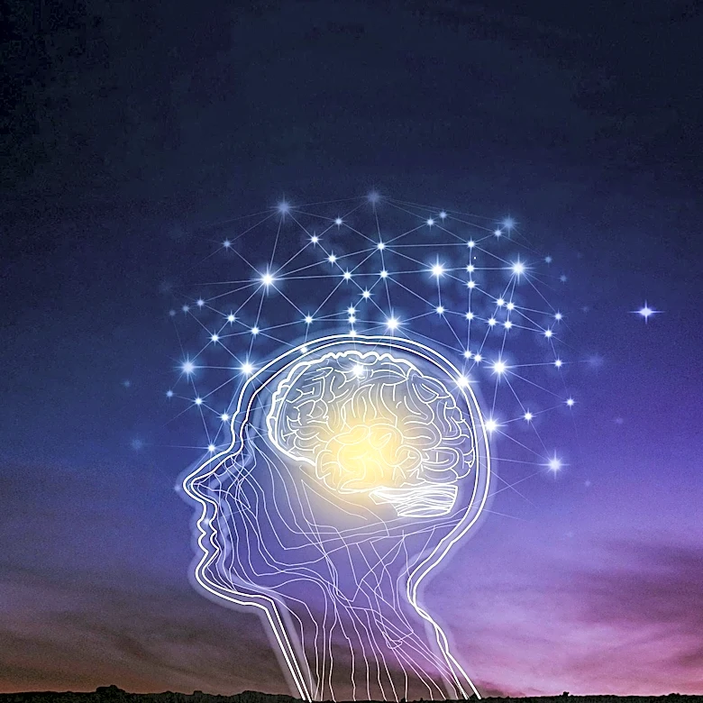 Study Reveals Brain's Inward Focus During REM Sleep