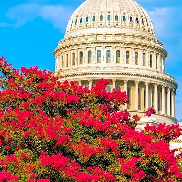 Senate Introduces Spending Bill to Prevent Government Shutdown Before Election