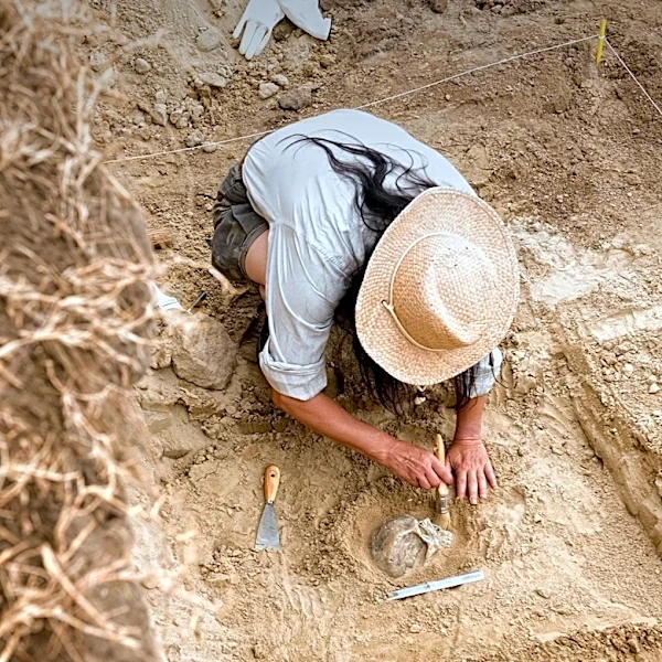 Human Remains in Iowa Identified as Man Missing Since 2023