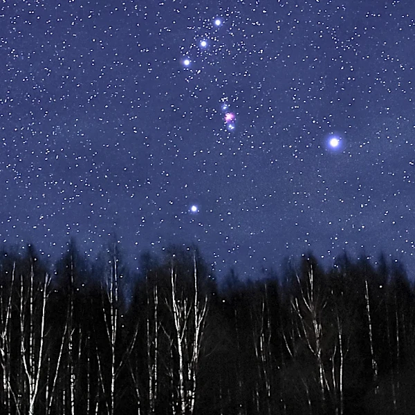 Scientific Discoveries Highlighted: From Cyborg Cockroaches to Betelgeuse's Companion Star