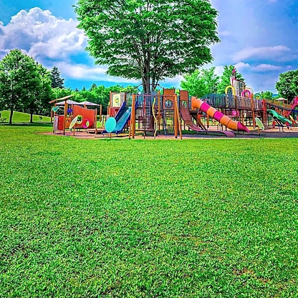BlueCross Announces $10 Million Playground and Park Project at Chattanooga's Riverfront