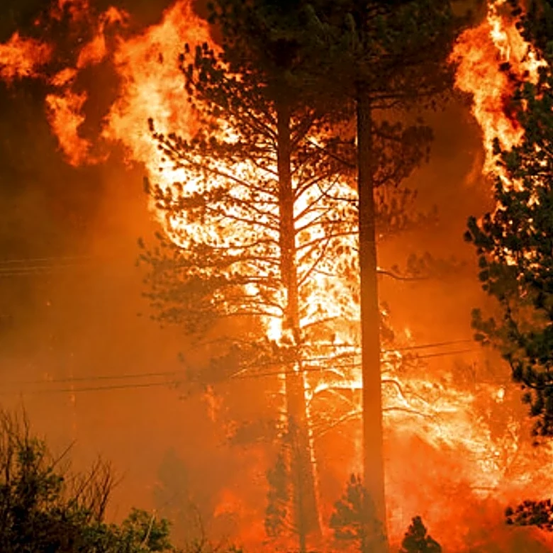 Wildfires in Spokane Force Mass Evacuations and Destroy Hundreds of Structures