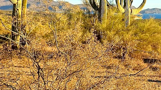 Extreme Heat Warnings Issued Across Southwest U.S., Affecting Millions