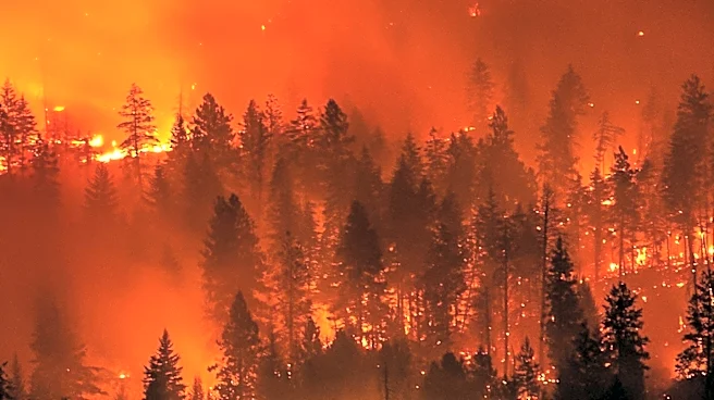 Wildfires in Washington State Lead to Massive Evacuations