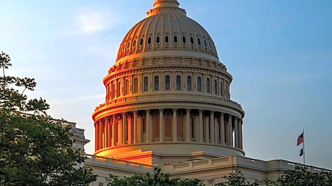 Washington's 3rd District Primary Features Competitive Race for U.S. House Seat