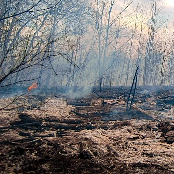 Spokane Wildfires Leave Residents Devastated as Homes and Memories Are Lost