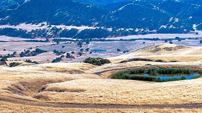 Ken Caryl Residents Face HOA Notices Amid Drought-Induced Water Restrictions