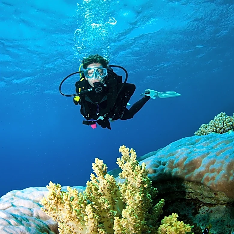 Diver Activities and Environmental Stressors Threaten Coral Reefs
