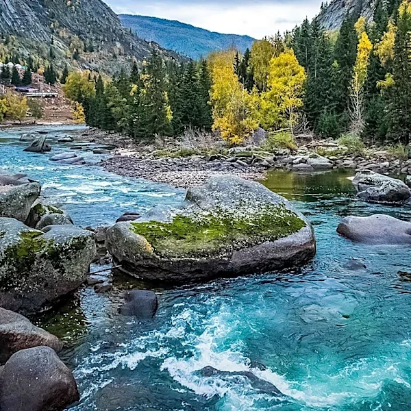 Montana's Public Lands Debate Intensifies Amid Upcoming Elections