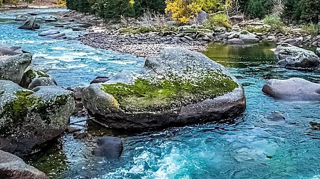 Montana's Public Lands Debate Intensifies Amid Upcoming Elections