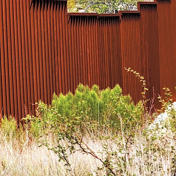 Trump Administration Halts Well Drilling for Border Wall in New Mexico Amid Drought Concerns