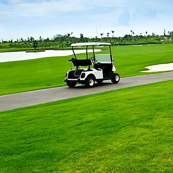 Streamer N3on Involved in Golf Cart Accident at Toronto Caribana Carnival