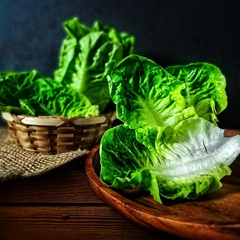 Michigan Health Officials Report Two Deaths Amid Cyclosporiasis Outbreak Linked to Contaminated Lettuce