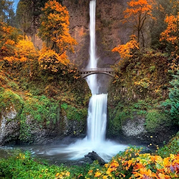 Central Oregon's Biodiversity Attributed to Unique Environmental Factors