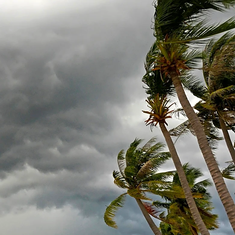 Vietnam's Ha Tinh Province Implements Evacuation Plans Amid Typhoon Threat